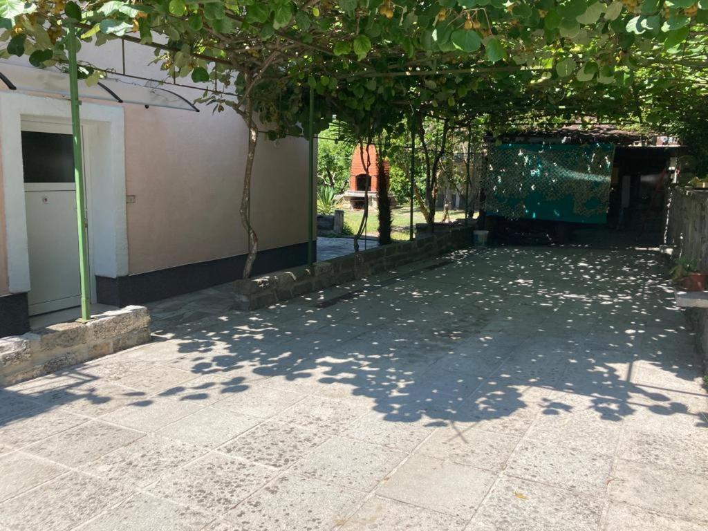 شقة لوسيا  في Apartma Mari المظهر الخارجي الصورة